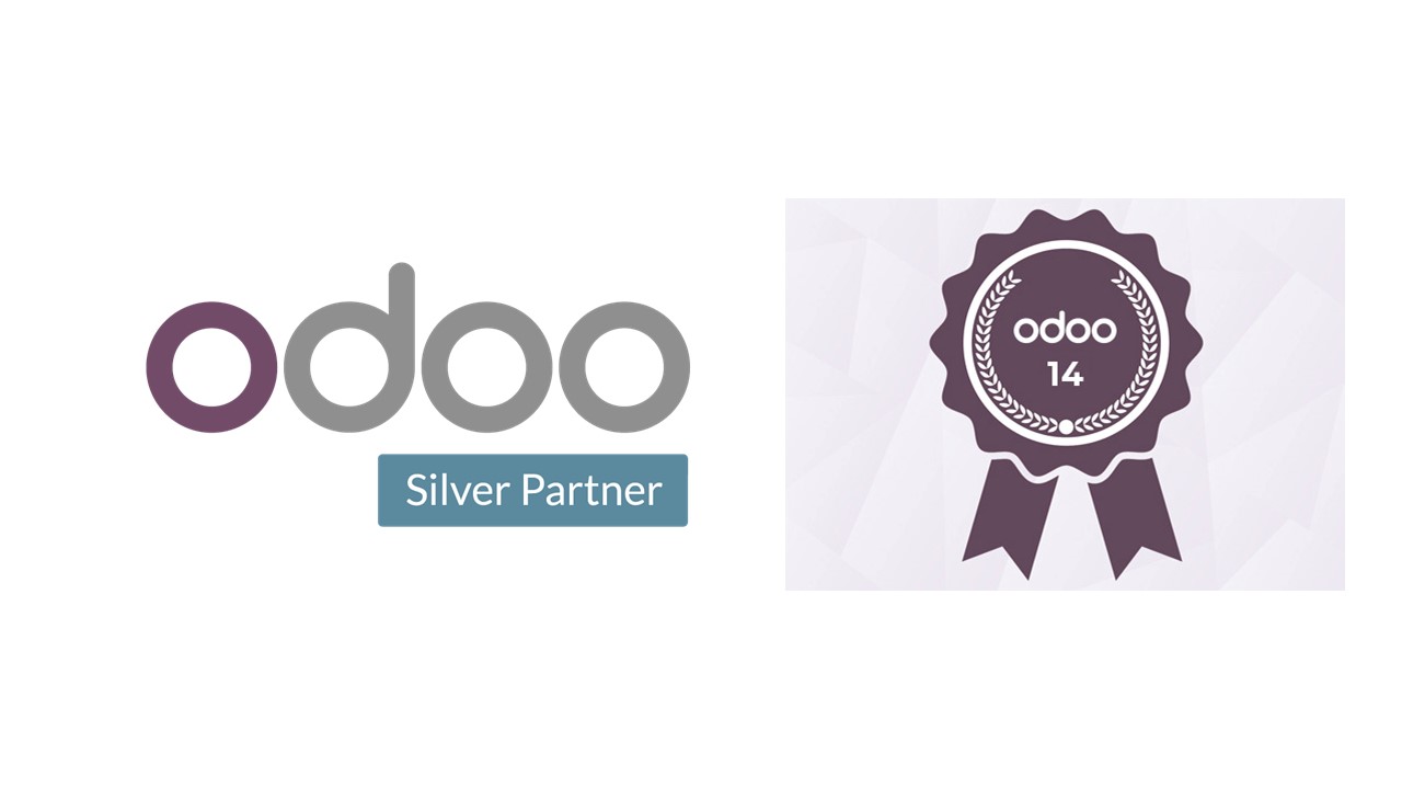 Silver Partners Odoo | KreiLabs